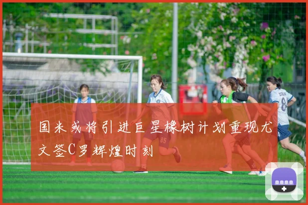国米或将引进巨星橡树计划重现尤文签C罗辉煌时刻