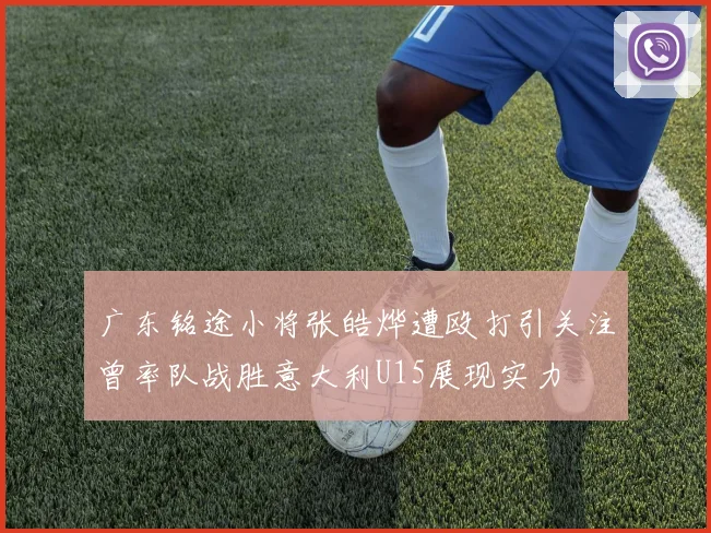 广东铭途小将张皓烨遭殴打引关注曾率队战胜意大利U15展现实力